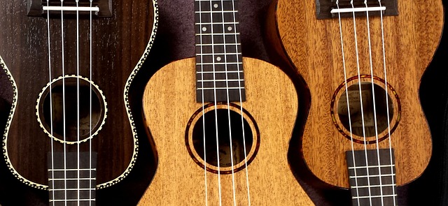 ukulele 2205860 640